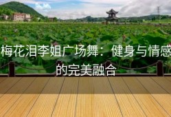 梅花泪李姐广场舞：健身与情感的完美融合