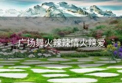 广场舞火辣辣情火辣爱