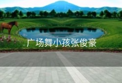 广场舞小孩张俊豪