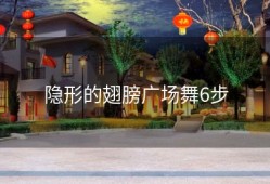 隐形的翅膀广场舞6步