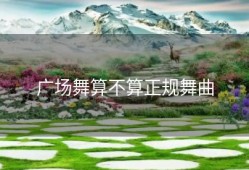 广场舞算不算正规舞曲