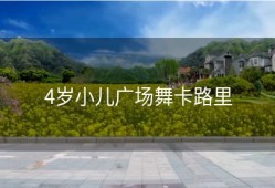 4岁小儿广场舞卡路里