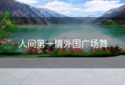 人间第一情外国广场舞