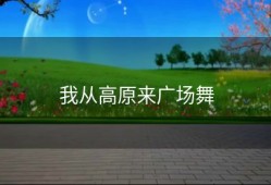 我从高原来广场舞