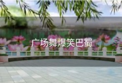 广场舞爆笑巴蜀