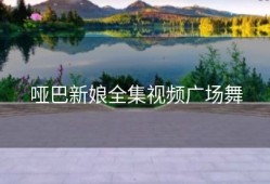 哑巴新娘全集视频广场舞