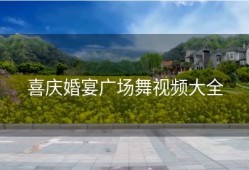 喜庆婚宴广场舞视频大全