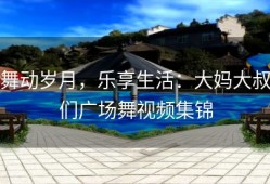 舞动岁月，乐享生活：大妈大叔们广场舞视频集锦