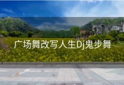广场舞改写人生Dj鬼步舞