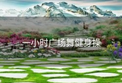 一小时广场舞健身操