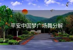 平安中国梦广场舞分解