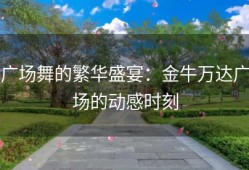 广场舞的繁华盛宴：金牛万达广场的动感时刻