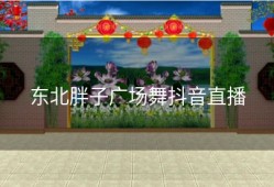 东北胖子广场舞抖音直播