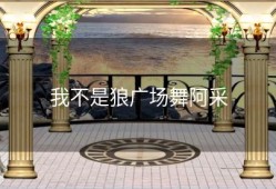 我不是狼广场舞阿采