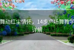舞动红尘情怀，14步广场舞教学详解