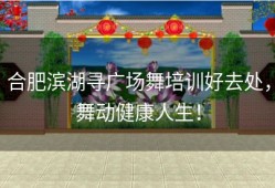 合肥滨湖寻广场舞培训好去处，舞动健康人生！
