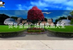 贺年金曲广场舞歌曲大全