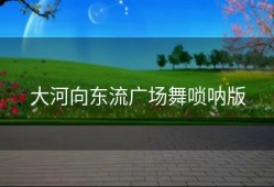 大河向东流广场舞唢呐版