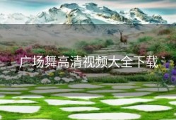 广场舞高清视频大全下载