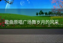 歌曲原唱广场舞岁月的风采