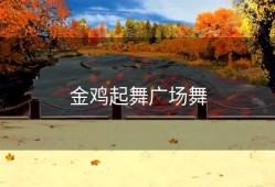 金鸡起舞广场舞