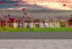 新十不该广场舞视频