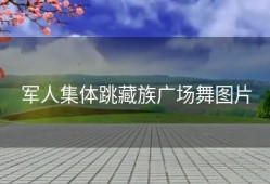 军人集体跳藏族广场舞图片