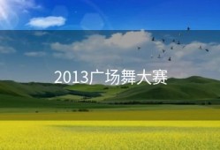 2013广场舞大赛