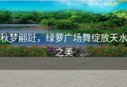 秋梦翩跹，绿萝广场舞绽放天水之美