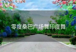 零度桑巴广场舞印度舞