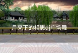 月亮下的相思dj广场舞