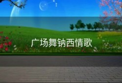 广场舞钠西情歌