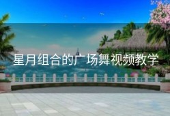 星月组合的广场舞视频教学