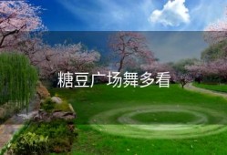 糖豆广场舞多看
