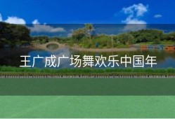 王广成广场舞欢乐中国年