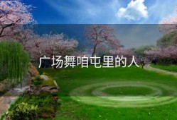 广场舞咱屯里的人