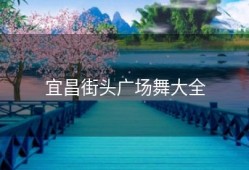 宜昌街头广场舞大全