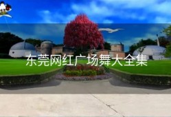 东莞网红广场舞大全集