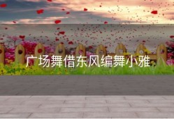 广场舞借东风编舞小雅