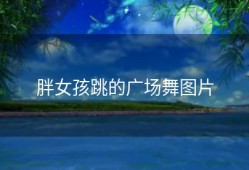 胖女孩跳的广场舞图片