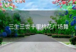 三生三世十里桃花广场舞