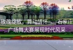 玫瑰绽放，舞动情怀——石家庄广场舞大赛展现时代风采