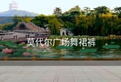 莫代尔广场舞裙裤