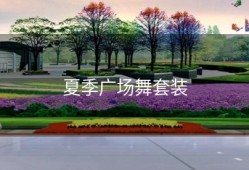 夏季广场舞套装