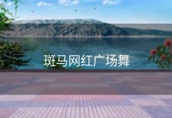 斑马网红广场舞