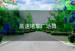 高速堵车广场舞