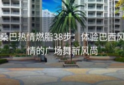 桑巴热情燃脂38步：体验巴西风情的广场舞新风尚