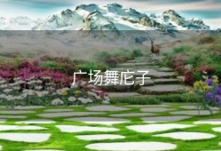 广场舞庀子