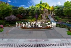 打花棍单棍广场舞