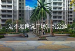 爱不是传说广场舞附分解